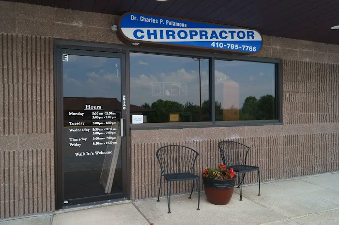 Palamone Chiropractic: Dr. Troy Coonrad, DC Picture 2