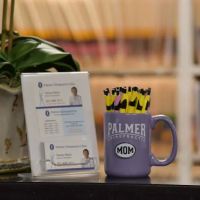 Palmer Chiropractic Clinic - Silver Spring ico