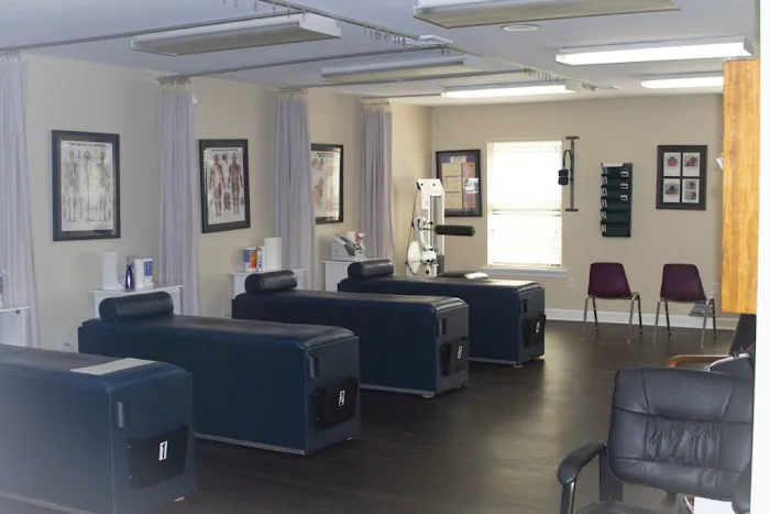 Absolute Chiropractic Care Picture 1