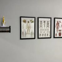 Perform4Life Chiropractic Rehab Clinic ico