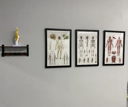 Perform4Life Chiropractic Rehab Clinic