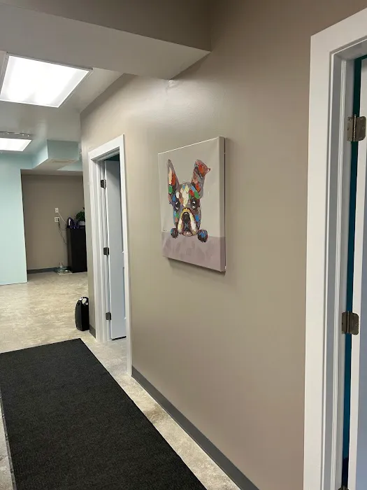 Maryland Animal Chiropractic, LLC Picture 8