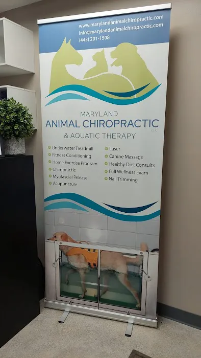 Maryland Animal Chiropractic, LLC Picture 1