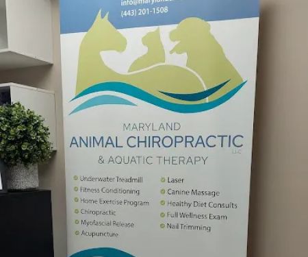 Maryland Animal Chiropractic, LLC
