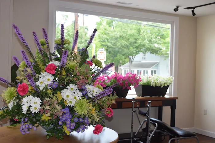 Premier Chiropractic Picture 6