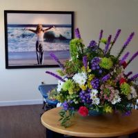 Premier Chiropractic ico