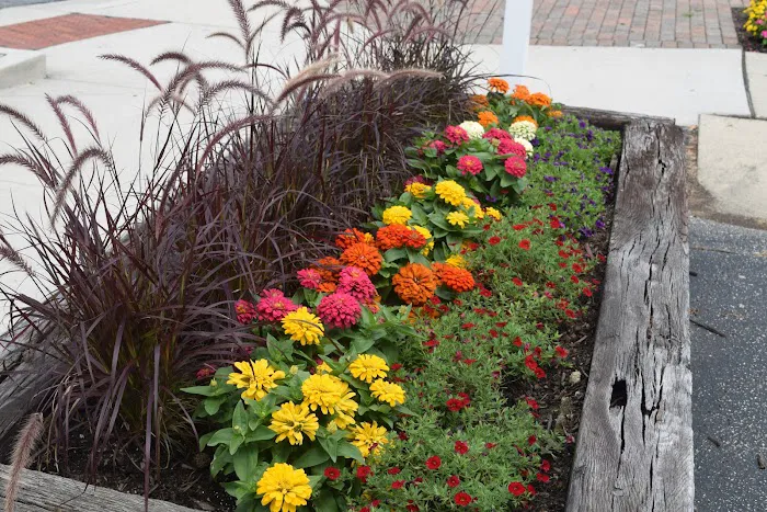 Premier Chiropractic Picture 4