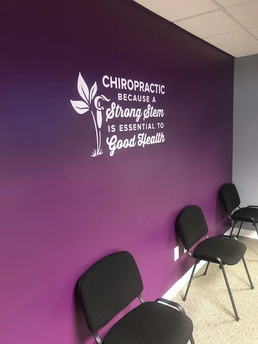 Artisan Chiropractic Clinic Picture 9
