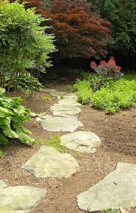 Vital Essence Picture 2