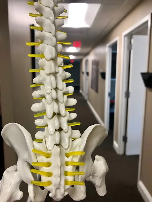 Wheaton Chiropractic Picture 4