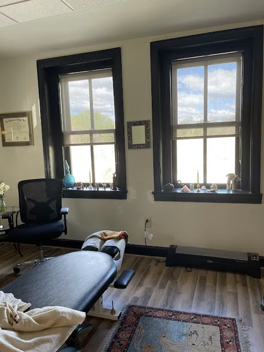 Cayuga Chiropractic Health Picture 2