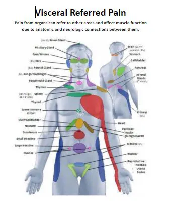 Frederick Chiropractic Wellness Center Picture 3