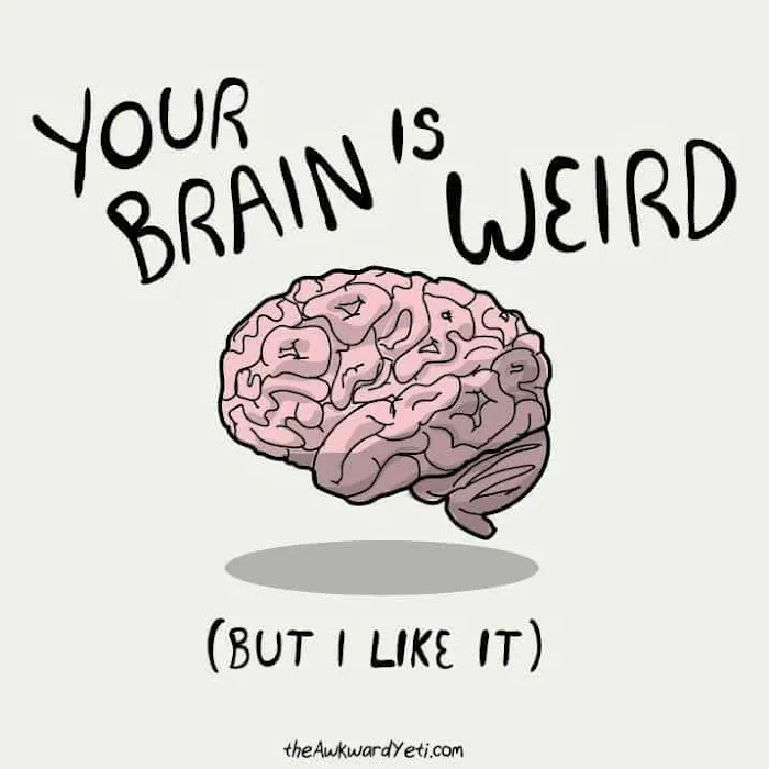 Frederick Chiropractic Wellness Center Picture 2