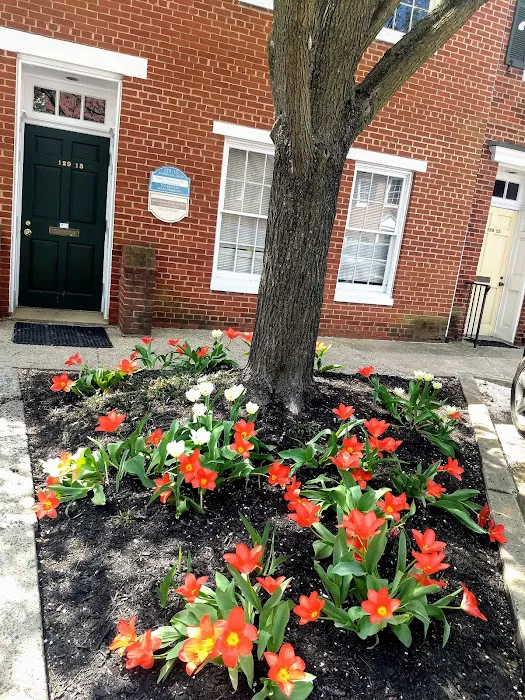 Dancingspine Chiropractic Picture 10