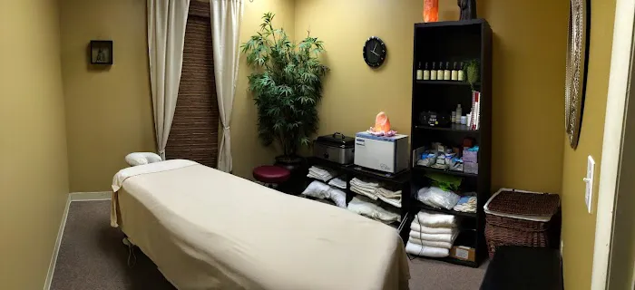 ChiroAid Picture 2