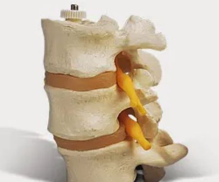 C2M Chiropractic