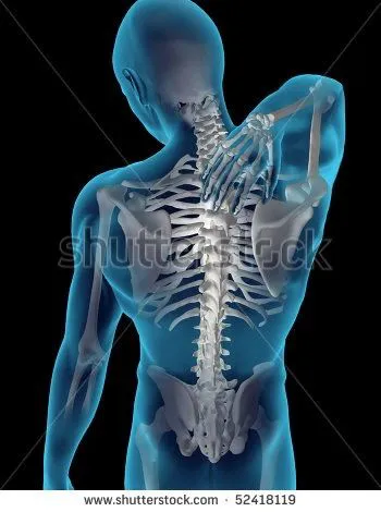 Rosemont Chiropractic & Rehab Picture 1