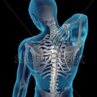 Rosemont Chiropractic & Rehab ico