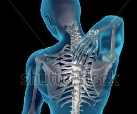Rosemont Chiropractic & Rehab