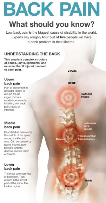 Precision Spine & Wellness Clinic Picture 3