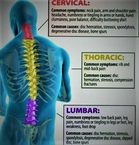 Precision Spine & Wellness Clinic Picture 2