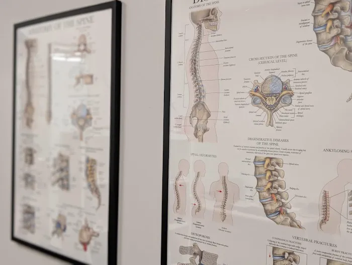 Kinetic Spine & Rehab Picture 10