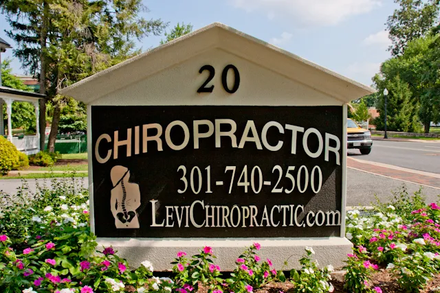 Dr. Rashid (Levi) Levieddin, Chiropractor Picture 4