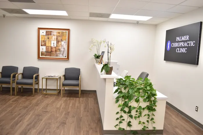 Palmer Chiropractic Clinic - Gaithersburg Picture 8