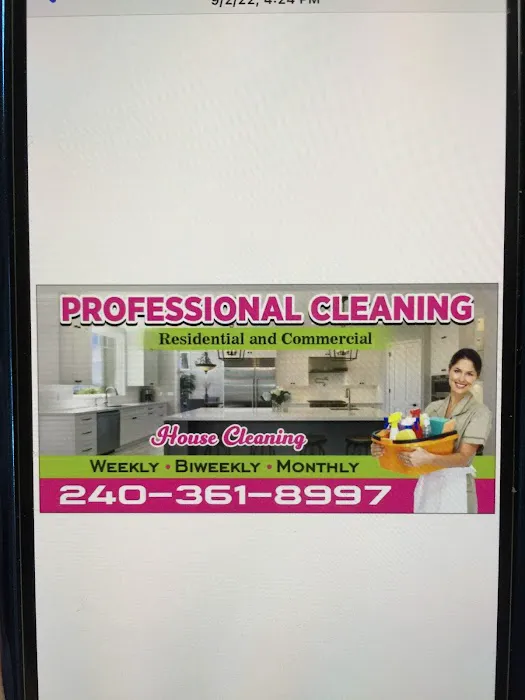 Professional cleaning services Picture 1