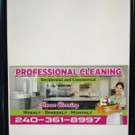 Professional cleaning services