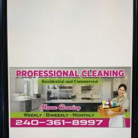 Professional cleaning services ico