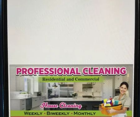 Professional cleaning services