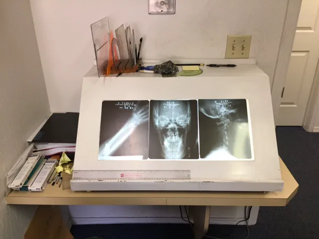 Fedele Stephen Jr Picture 10