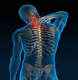Clovis Chiropractor Picture 3