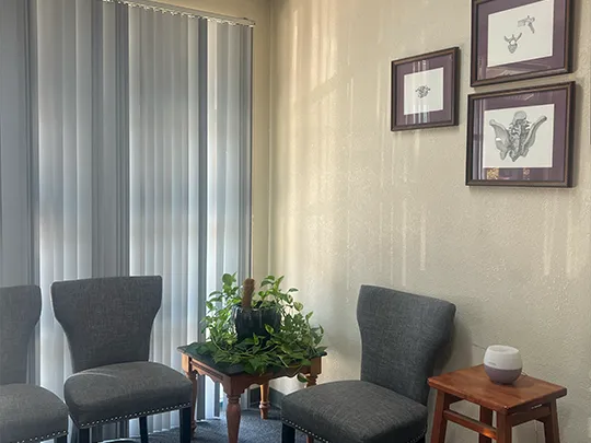 Rapid Body Revitalization Chiropractic Picture 7