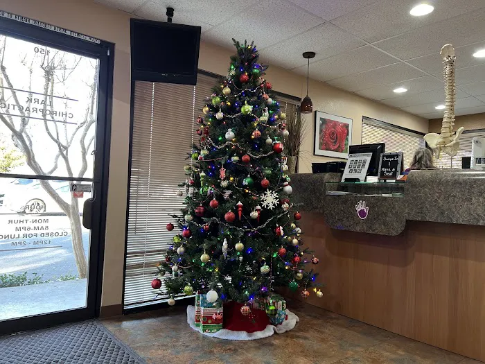 Lark Chiropractic Picture 3