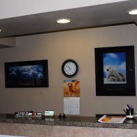 Integrity Chiropractic ico