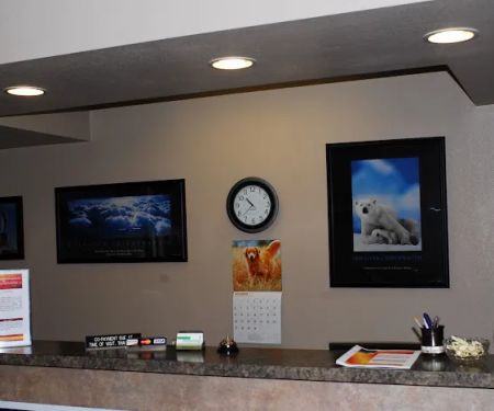 Integrity Chiropractic