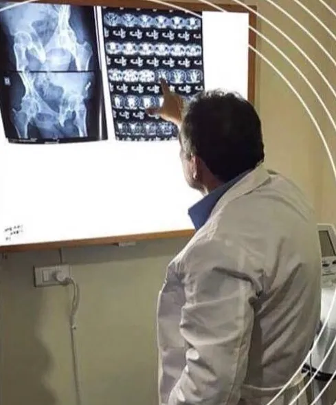 Chiropractic For Health Dr. Djabrayan Vartan DC, FMCSA Picture 1