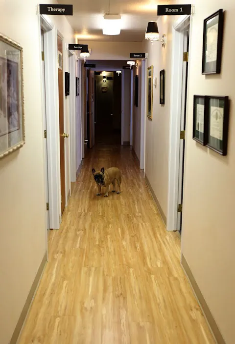 The Healing Touch Chiropractic Picture 8