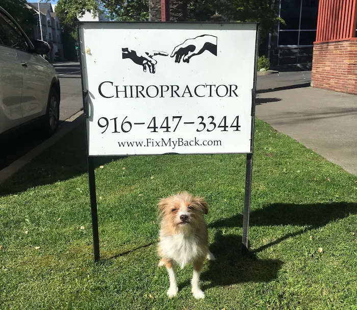 The Healing Touch Chiropractic Picture 10