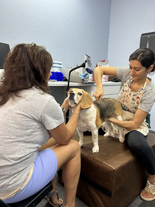 Tails and Trails Animal Chiropractic - Dr. Natasha Fallahi, DC, CAC Picture 1