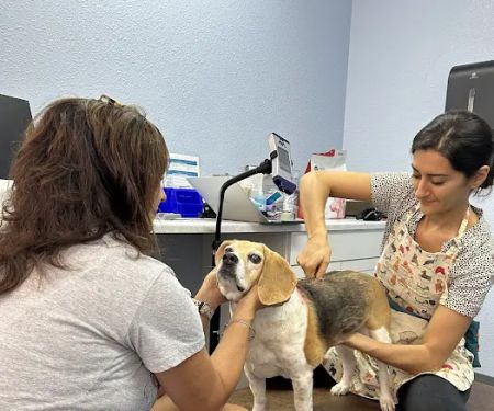 Tails and Trails Animal Chiropractic - Dr. Natasha Fallahi, DC, CAC