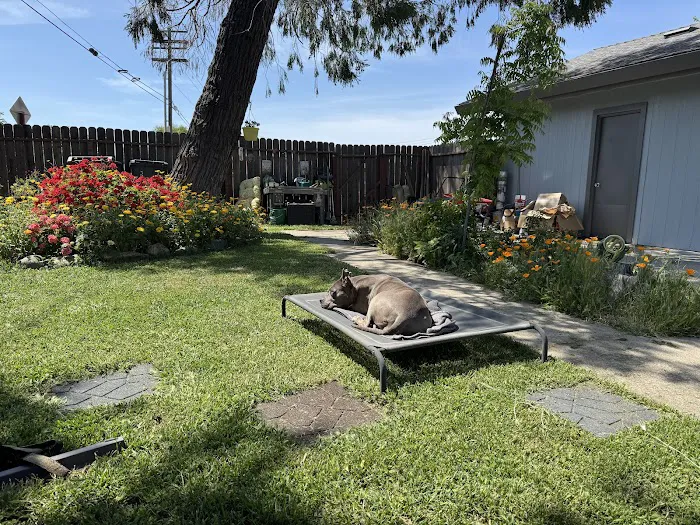 Tails and Trails Animal Chiropractic - Dr. Natasha Fallahi, DC, CAC Picture 2