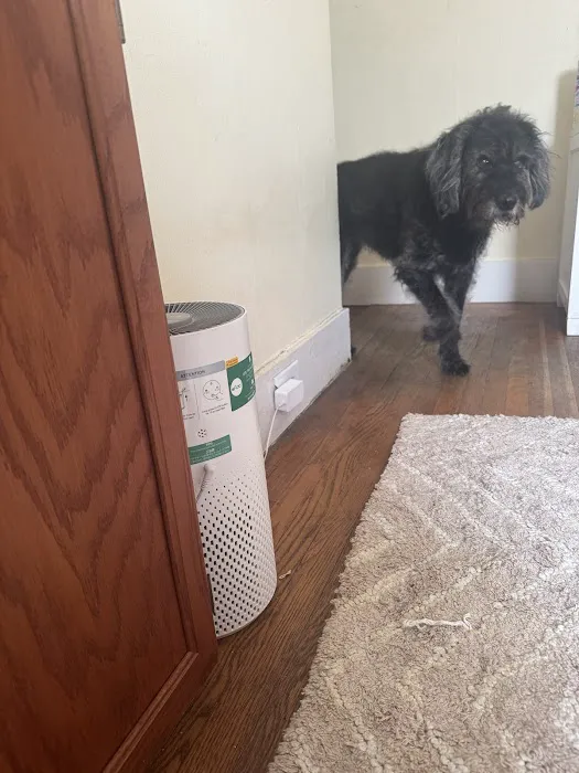 Tails and Trails Animal Chiropractic - Dr. Natasha Fallahi, DC, CAC Picture 5