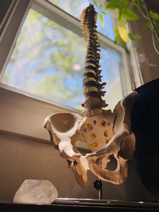 Golden Ratio Chiropractic Picture 3