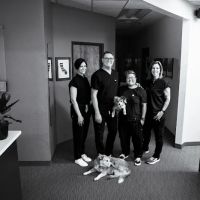 ACME Chiropractic ico