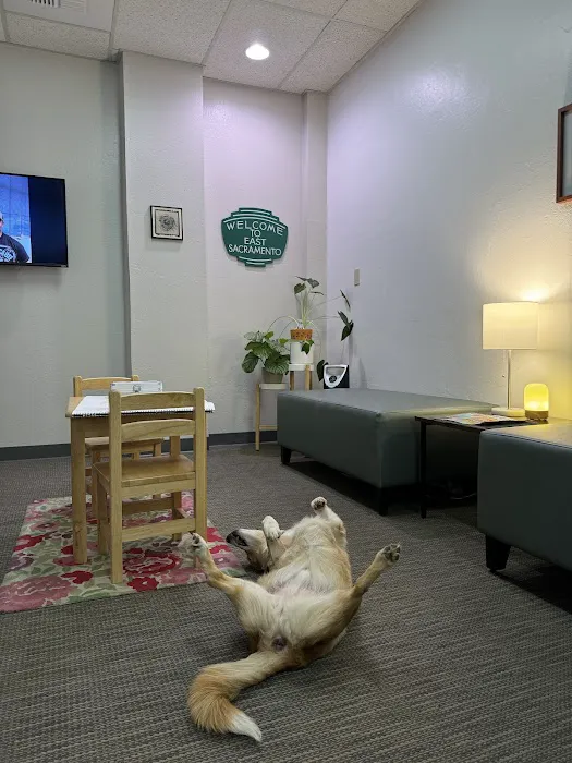 ACME Chiropractic Picture 6