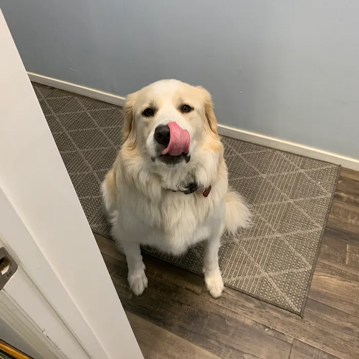 East Sacramento Chiropractic Picture 8