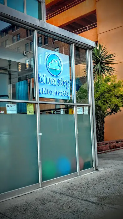 Blue Sky Body Therapeutics, LLC Picture 4